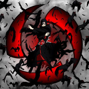 Meet your Posher, Jaden